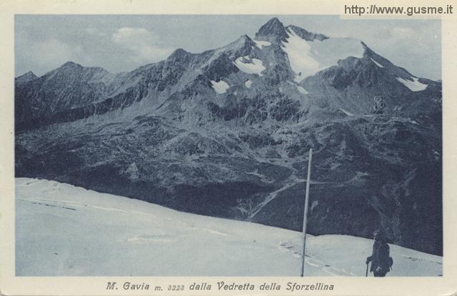 1928-09-07 M. Gavia dalla vedretta della Sforzellina_trinc-01843A-AV2gavi - click to next image