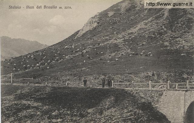 1908-no-vi Pian del Braulio_trinc-00227A-AV3stst - click to next image