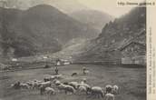 C1907-no-vi Valle Belviso-S. Paolo e due ore dall'Hotel Aprica_trinc-00250A-AP1Vbel