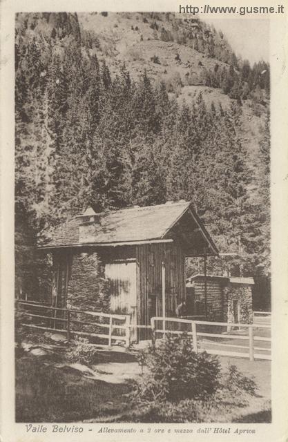 C1925-08-30 Valle Belviso-Allevamento a 2ore e mezza dall'HotelAprica_trinP-00249A-AP1belv - click to next image