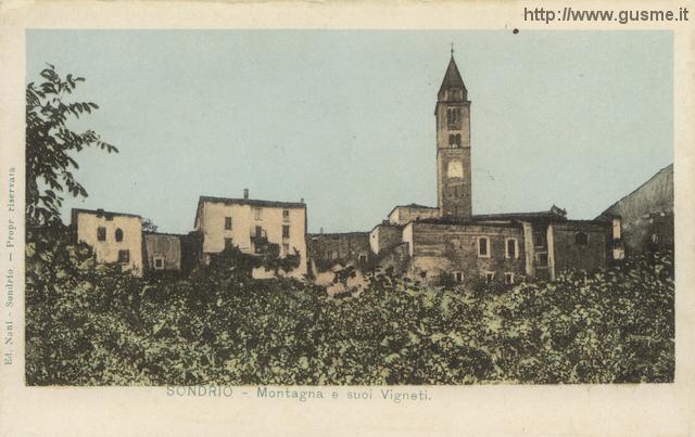 1904-no-vi Montagna e i suoi vigneti_naniE-00012A-MV1mont - click to next image