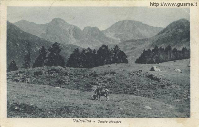 1929-10-22 (Rogneda)-Quiete alpestre_trinP-02094A-MV1pras - click to next image