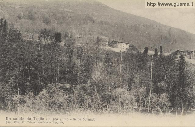 1908-09-12 Selva Saleggio_trinc-00350A-MV2tegl - click to next image