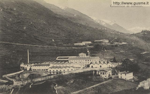 1909-no-vi Cotonificio_trinc-00356A-SO4cotF - click to next image