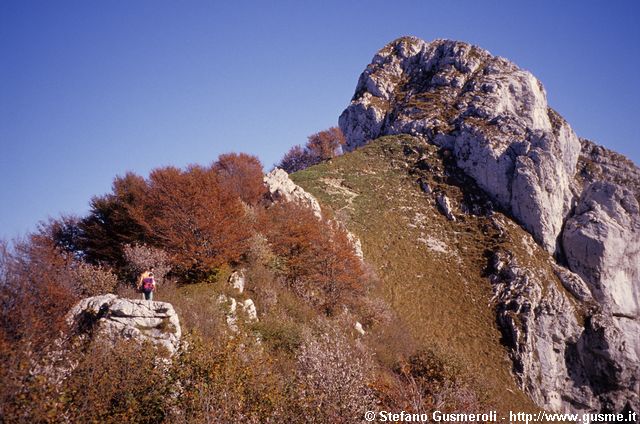  Corno orientale autunnale - click to next image