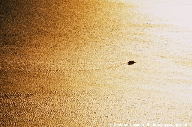  Imbarcazione attraversa il lago di Como dorato - click to next image