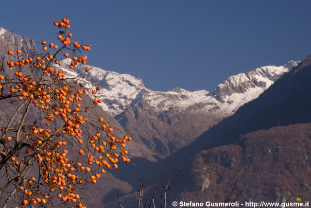  Cachi e testata val dei Ratti - click to next image