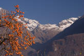 20061130_130747 Cachi e testata val dei Ratti