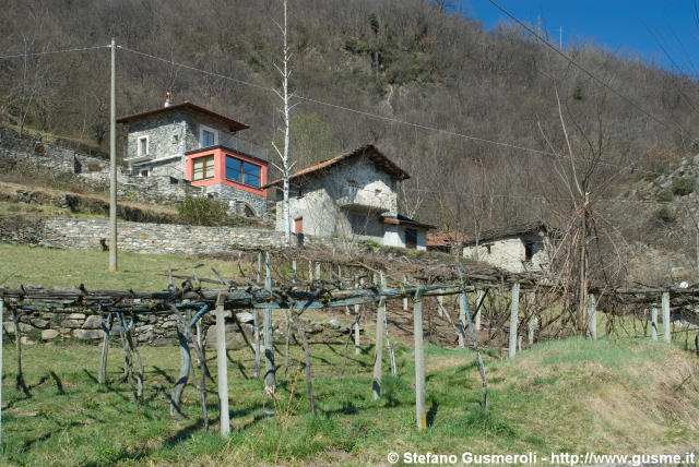  Vigne presso Dascio - click to next image