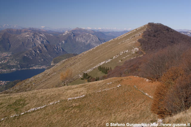  Monte Tesoro - Versante Sud - click to next image