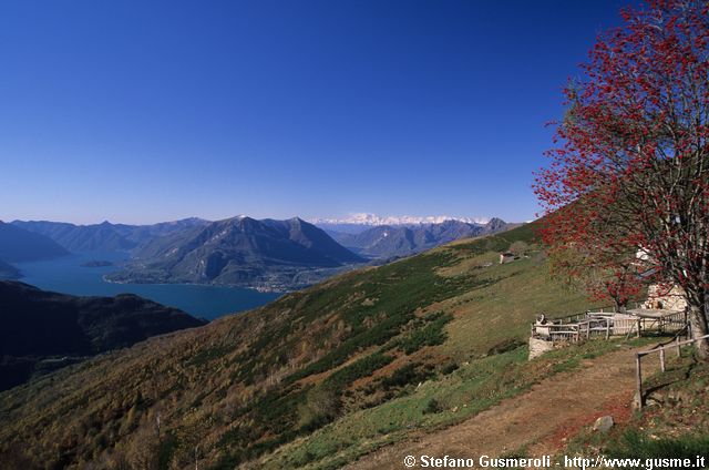  Panorama sul Lario tra i sorbi dell'alpe Chiaro - click to next image