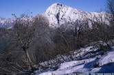 20041114_103_33 Il Legnone dal monte Croce di Muggio