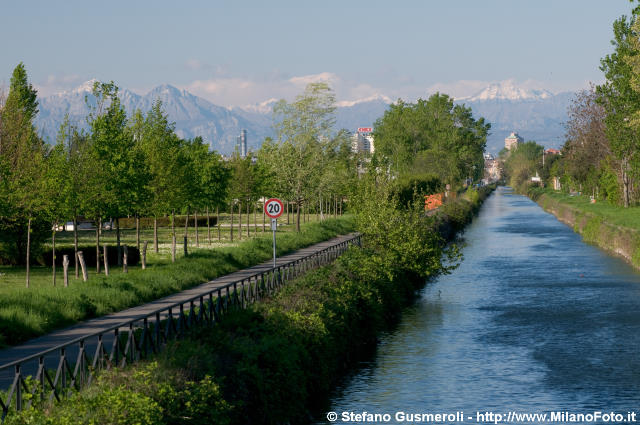  Naviglio Pavese presso Assago - click to next image