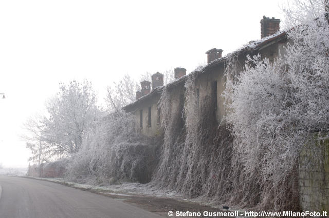  Cascina presso Mirasole - click to next image