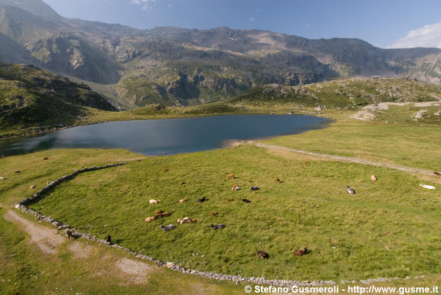  Pascolo e lago - click to next image