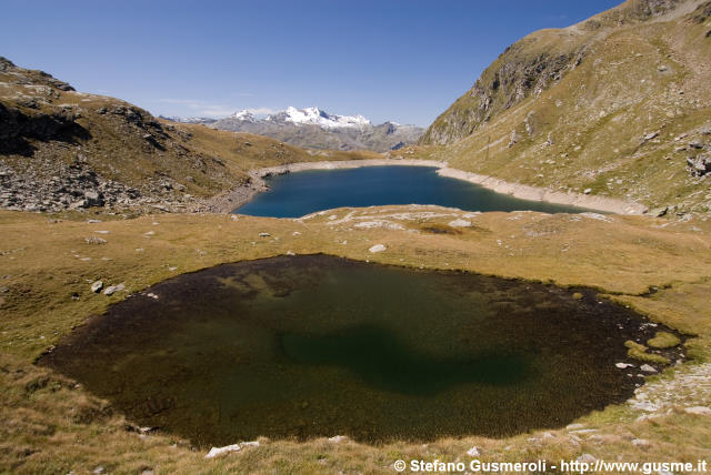  Uno dei laghetti sopra al lago Nero - click to next image