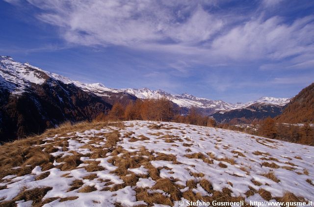  Pascoli a Bondeno di fuori - click to next image