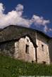 20060613_164503 Rustici a Bondeno di mezzo