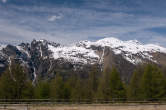 20120515_120747 Cime dal pratone tra Bondeno e Avero