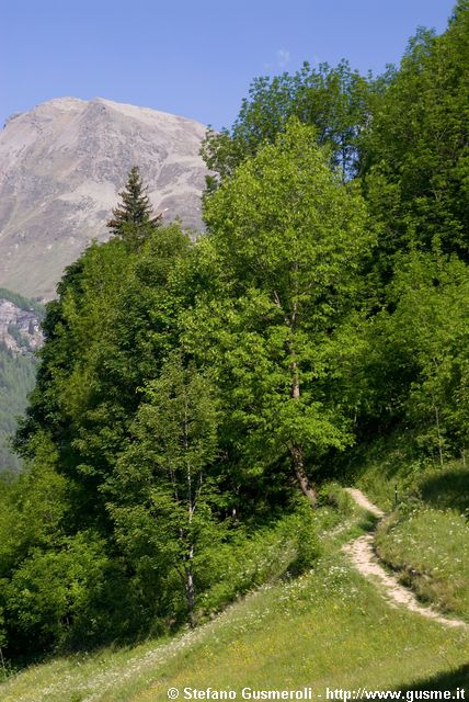  Sentiero per la grotta di Lourdes - click to next image