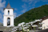 20110722_095323 Margherite e campanile