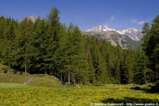  Prati e boschi di Mottala - click to next image