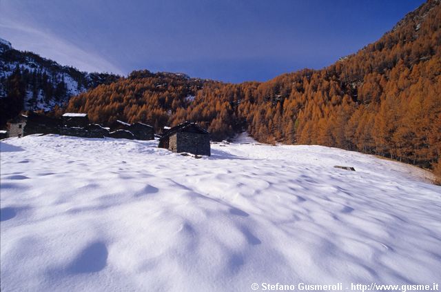  Servizio innevato tra i larici - click to next image