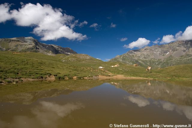  Laghetto sul pian dei cavalli - click to next image