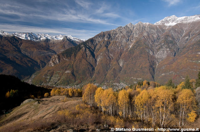  Boschi autunnali in bassa bregaglia - click to next image