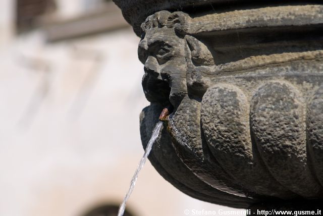  Fontana in piazza S.Pietro - click to next image