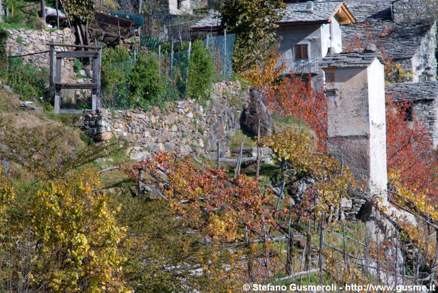  Vigne e Pianazzola - click to next image