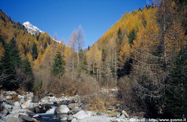  Autunno nella valle del Muretto - click to next image