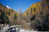 20021027_028_05 Autunno nella valle del Muretto