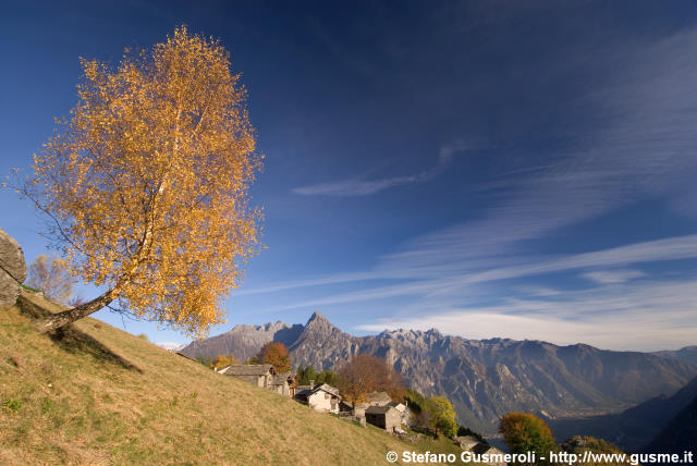  Alpe Cermine - click to next image