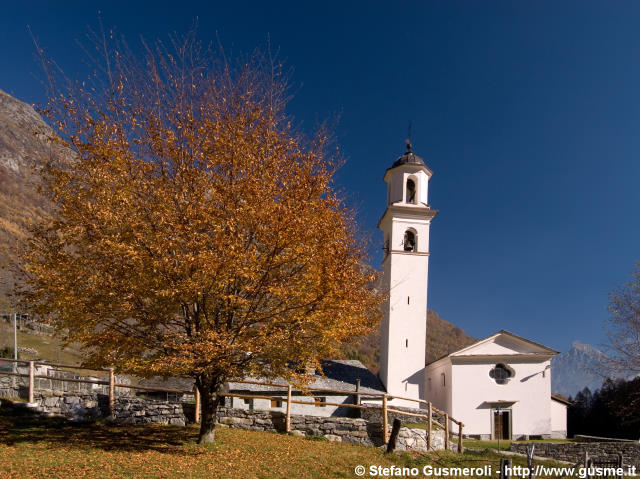  Faggio e chiesa di S.Bernardo - click to next image