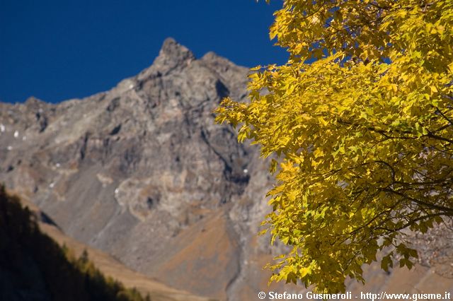  Acero e pizzi Piani - click to next image