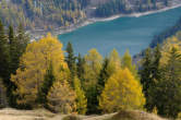 20091025_113146 Lago di Isola