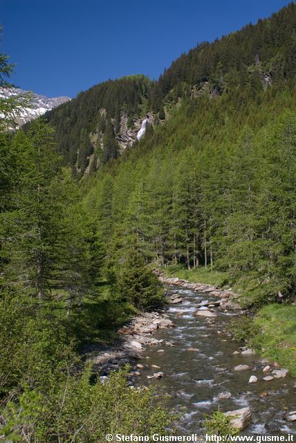  Val Febbraro - click to next image