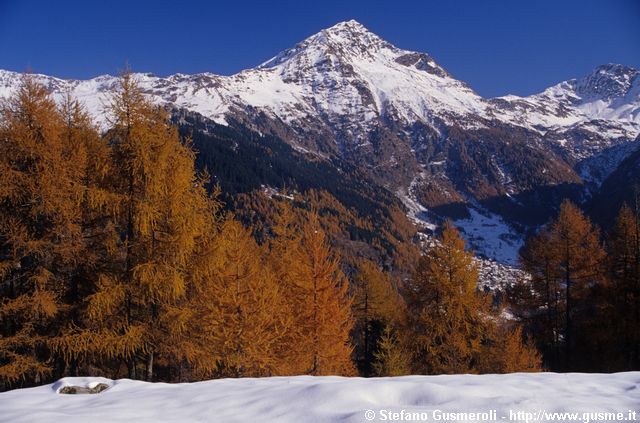  Larici di Sasso Marcio e pizzo Groppera - click to next image