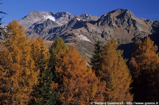  Larici, Suretta e Spadolazzo - click to next image