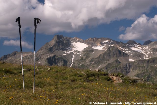  Bastoni da trekking e gruppo del Suretta - click to next image