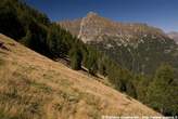 20060831_150604 Pendii tra l'Alpe Cima e il monte Mater