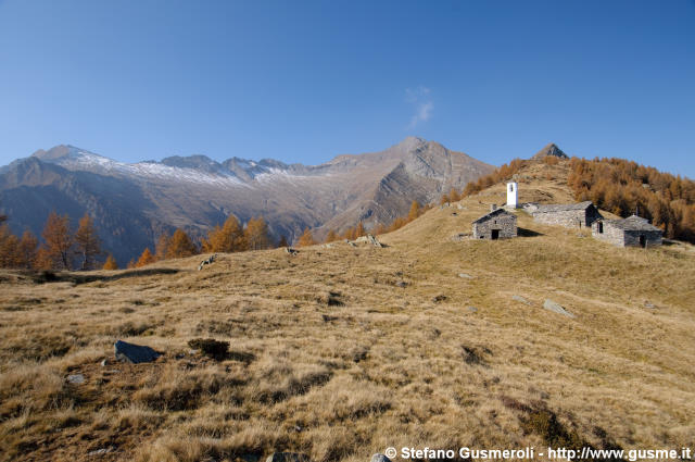  Verso l'Alpe Cima - click to next image