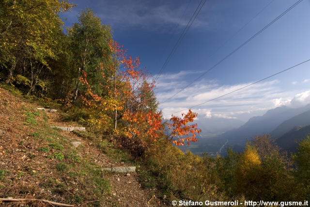  Sentiero per l'alpe Buglio - click to next image