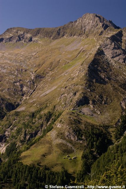  Alpe Vesena e pizzo della Forcola - click to next image