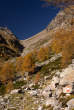 20061027_124556 Alta val Forcola