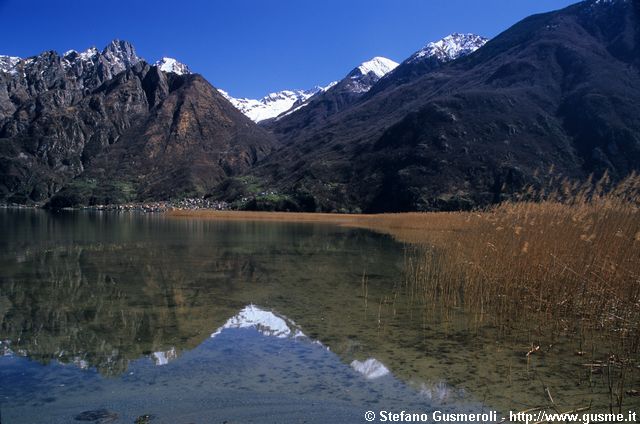  Lago di Mezzola - click to next image