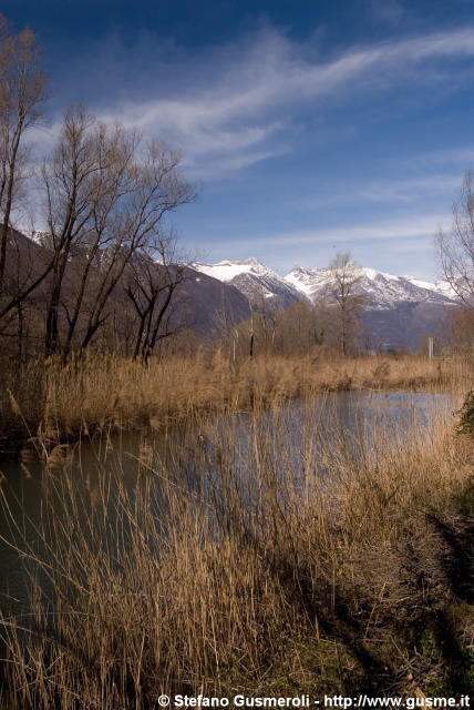  Meretta presso il lago di Mezzola - click to next image