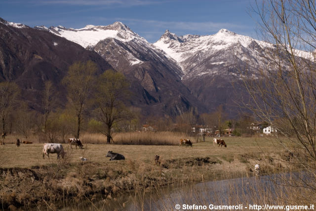  Meretta presso il lago di Mezzola - click to next image