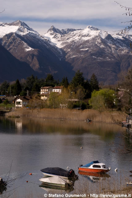  Lago di Mezzola e cime della Forcola - click to next image